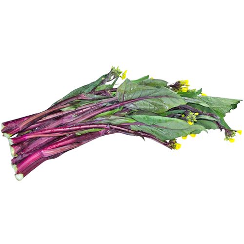 附近凈土蔬菜配送公司